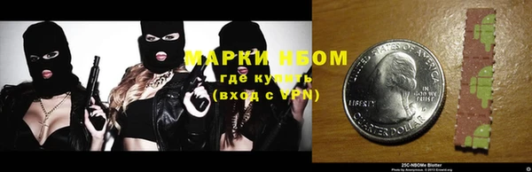 шишки Белокуриха
