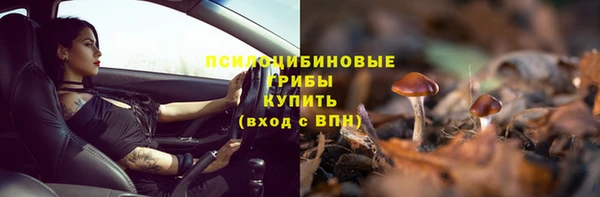 ECSTASY Белоозёрский