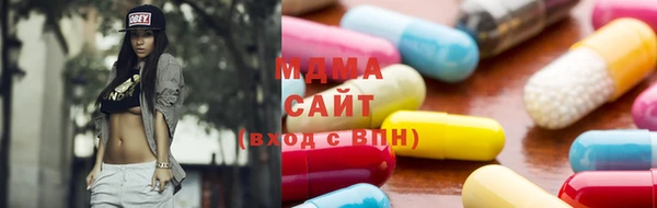 шишки Белокуриха