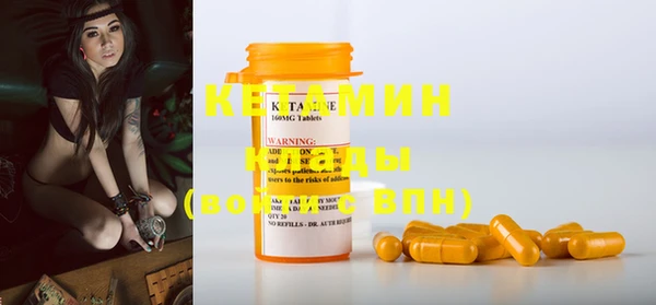 шишки Белокуриха