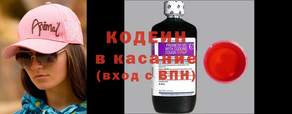 шишки Белокуриха