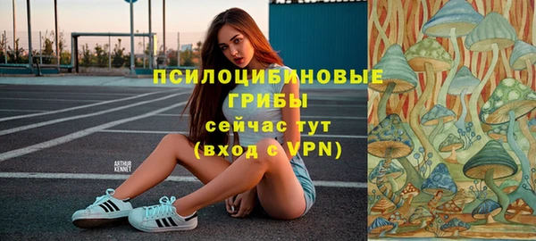 шишки Белокуриха