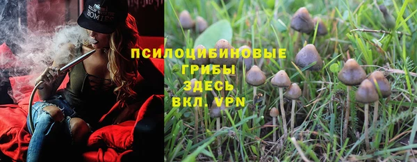 шишки Белокуриха