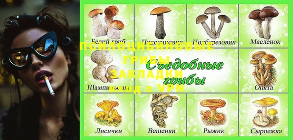 шишки Белокуриха