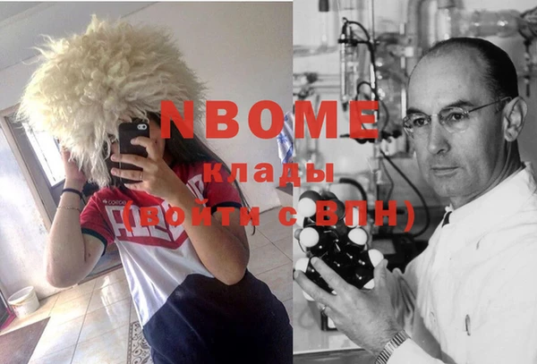 шишки Белокуриха