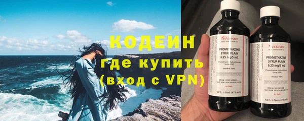 шишки Белокуриха