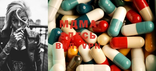 шишки Белокуриха